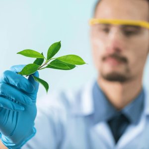 Plants & Earth Study